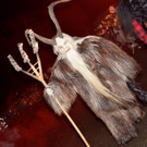Krampusshow Braz 2022 _164_.jpg