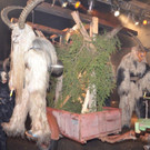 Krampusshow Braz 2022 _179_.jpg