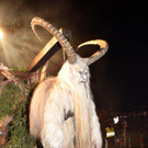 Krampusshow Braz 2022 _180_.jpg