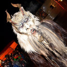 Krampusshow Braz 2022 _183_.jpg