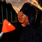 Krampusshow Braz 2022 Jugendgruppe Drillcamp _27_.jpg
