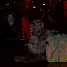 Krampusshow Braz 2022 Jugendgruppe Drillcamp _29_.jpg