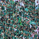 AFP_32Q98XC.jpg