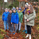 Bild 8 Wald nn.jpg