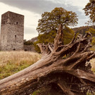 Tostnerburg