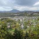 Tostnerburg Vandalismus 3.jpg
