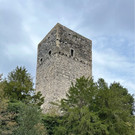 Tostnerburg Vandalismus 5.jpg