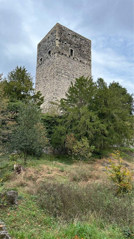 Tostnerburg Vandalismus 5.jpg