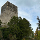 Tostnerburg Vandalismus 6.jpg