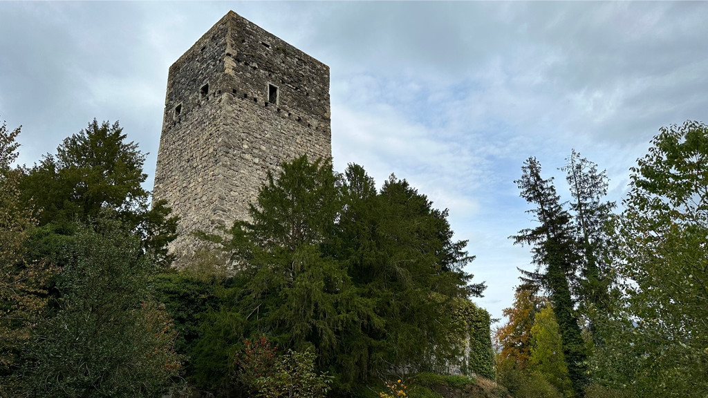 Tostnerburg Vandalismus 6.jpg