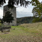 Tostnerburg Vandalismus 7.jpg