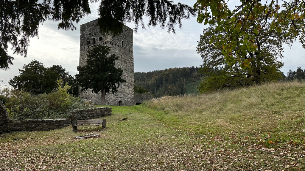 Tostnerburg Vandalismus 7.jpg