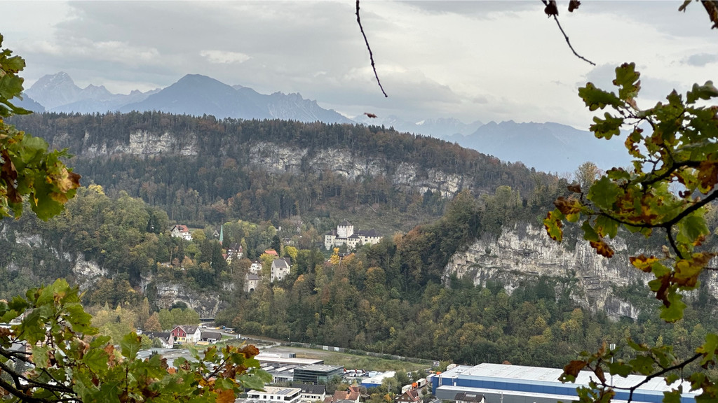 Tostnerburg Vandalismus 8.jpg