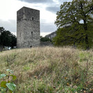 Tostnerburg Vandalismus 10.jpg