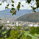 Tostnerburg Vandalismus 11.jpg