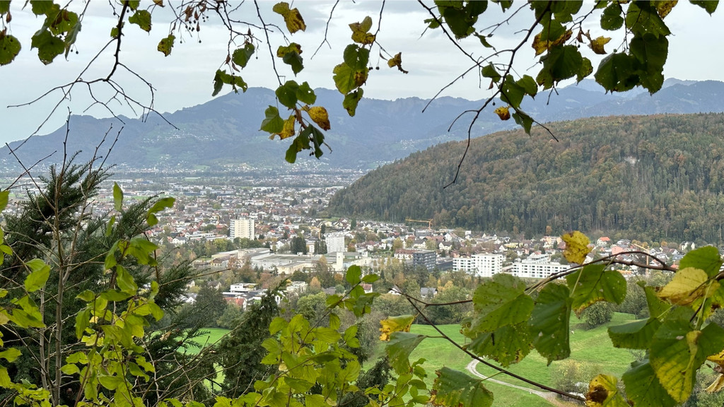 Tostnerburg Vandalismus 11.jpg