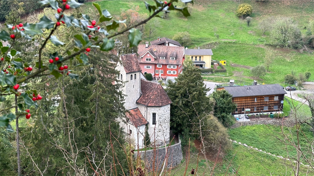 Tostnerburg Vandalismus 15.jpg