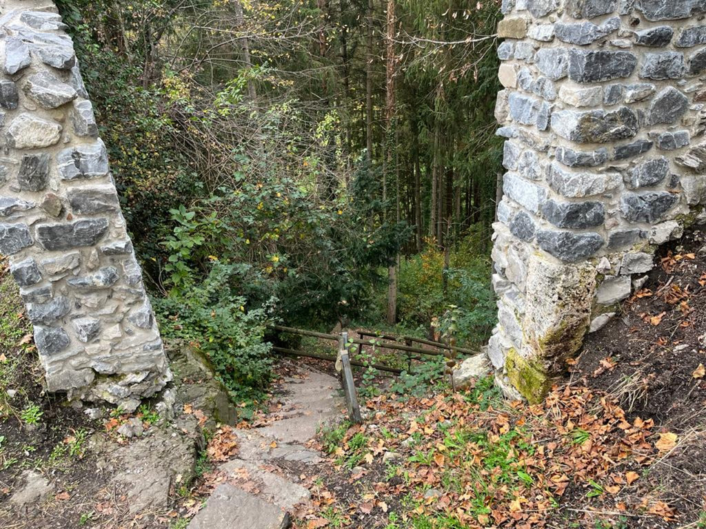 Tostnerburg Vandalismus 17.jpg