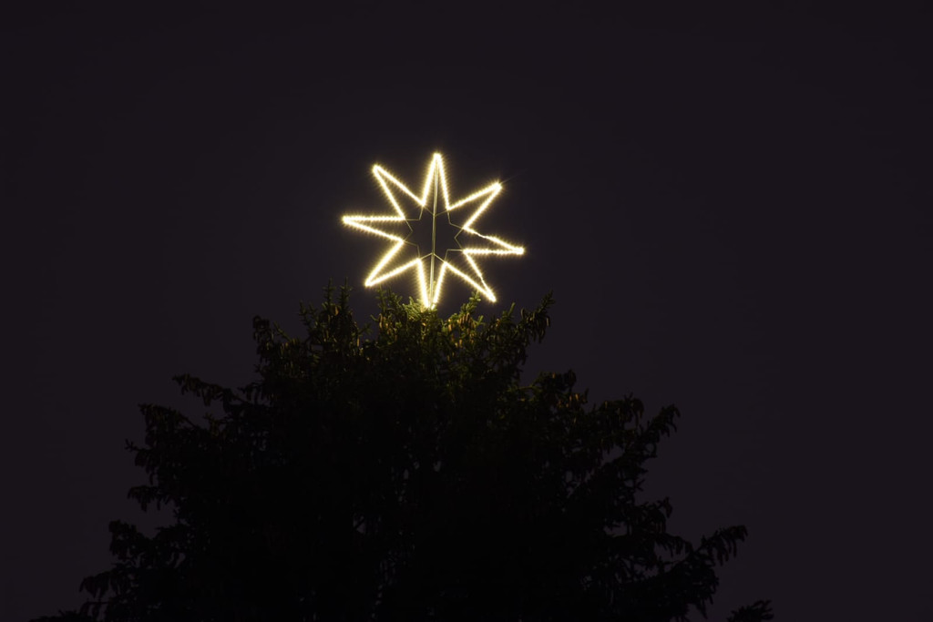 Baum3.jpg