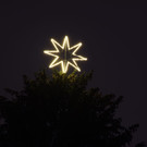 Baum3.jpg