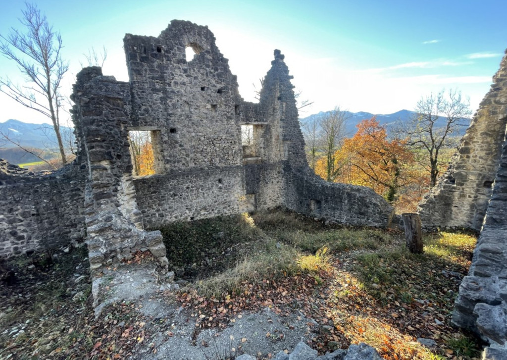 neuburg2.jpg