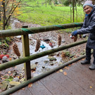 WEIHNACHTSWALD in St. Arbogast