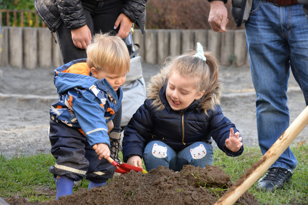 csm_Kastanie_im_Kulturhauspark__1__044629ee25.jpg