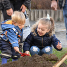 csm_Kastanie_im_Kulturhauspark__1__044629ee25.jpg