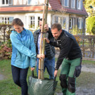 csm_Kastanie_im_Kulturhauspark__2__c0fe1d15a7.jpg