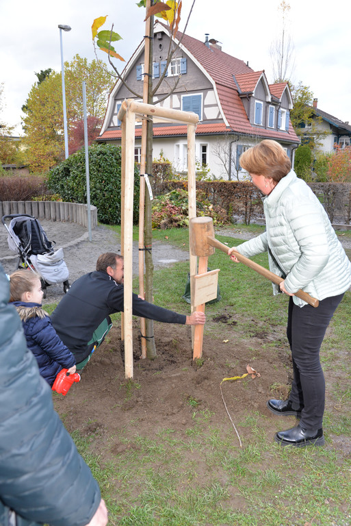 csm_Kastanie_im_Kulturhauspark__6__b8afe1e9d6.jpg