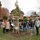 csm_Kastanie_im_Kulturhauspark__7__5702b960e3.jpg