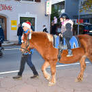 20221127_Weihnachtsmarkt_Pony.jpg