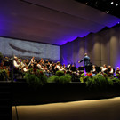 IMG_8729.JPG