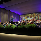 IMG_8734.JPG