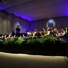 IMG_8795.JPG