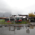 DSCI8974.JPG