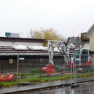 DSCI8984.JPG