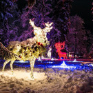 at_Innsbruck_Hofgarten_lumagica_light park_079_low.jpg