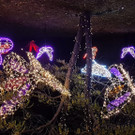 20220929_203400.jpg