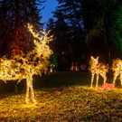 LUM_9222__0000s_0003_at_Innsbruck_Hofgarten_lumagica_light park_40.jpg