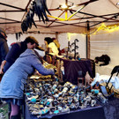 IMG_20221201_153857_edit_35082406006625.jpg