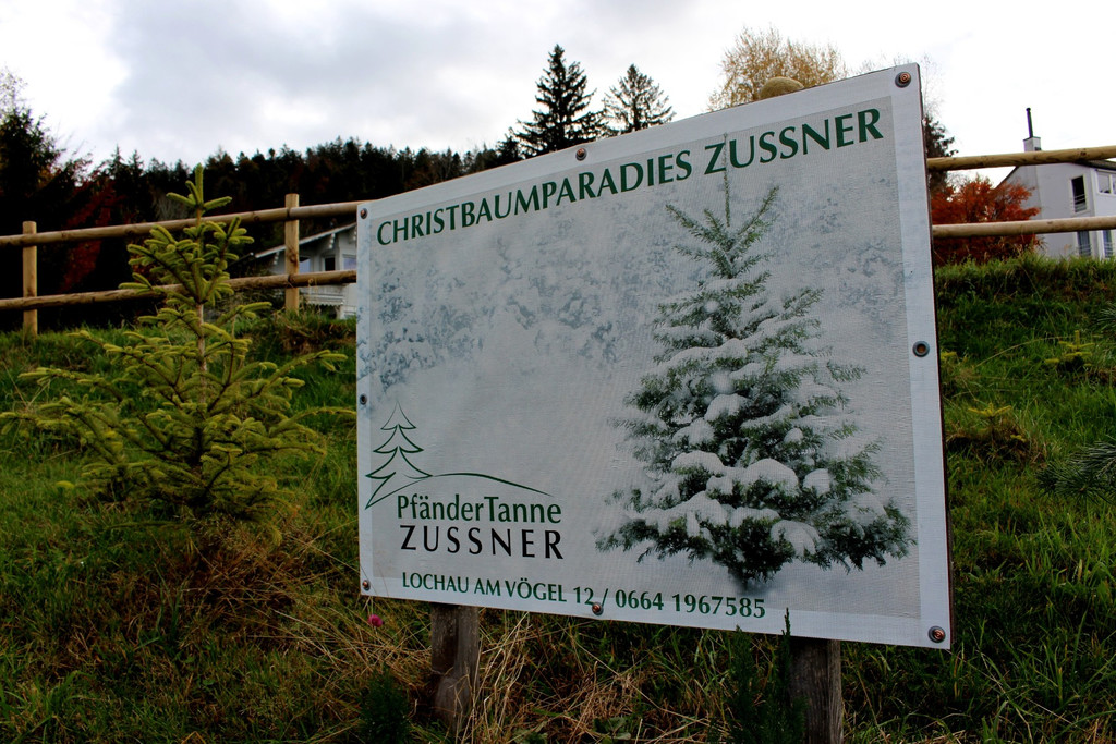 Lochau Zu__ner CHRISTBAUMVERKAUF Advent Dezember 2022 _5_ SCHILD.JPG