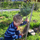 Lochau Zu__ner CHRISTBAUMVERKAUF Advent Dezember 2022 _9_ KINDER.JPG