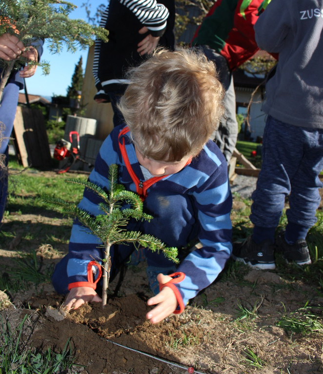 Lochau Zu__ner CHRISTBAUMVERKAUF Advent Dezember 2022 _8_ KINDER.JPG