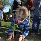 Lochau Zu__ner CHRISTBAUMVERKAUF Advent Dezember 2022 _8_ KINDER.JPG
