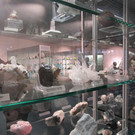 IMG_7187.JPG