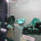 IMG_7195.JPG