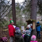 Waldwichtelwanderweg Wald a_ A _6_.jpg