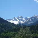 1067455.jpg
