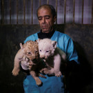 2022-12-12T120149Z_1047160627_RC2N1Y9ZJ0D1_RTRMADP_3_ALGERIA-ANIMALS-LION-CUBS.JPG